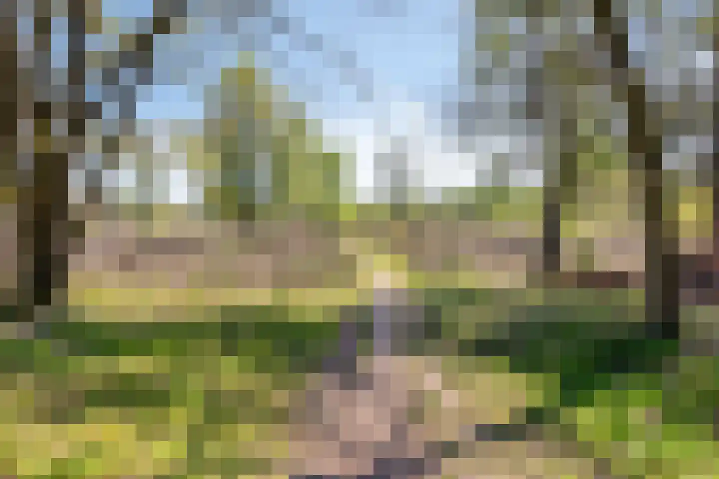 De Boekweit 31 Heesch thumbnail 101