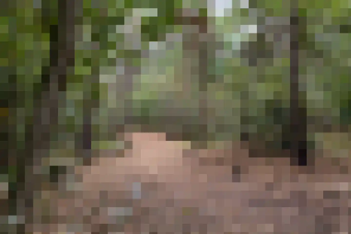 De Boekweit 31 Heesch thumbnail 102
