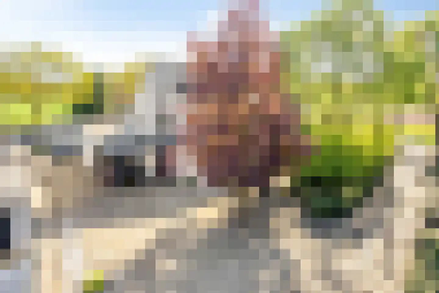 De Boekweit 31 Heesch thumbnail 104