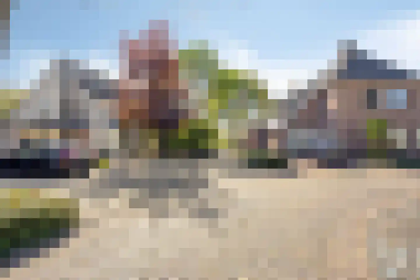 De Boekweit 31 Heesch thumbnail 105