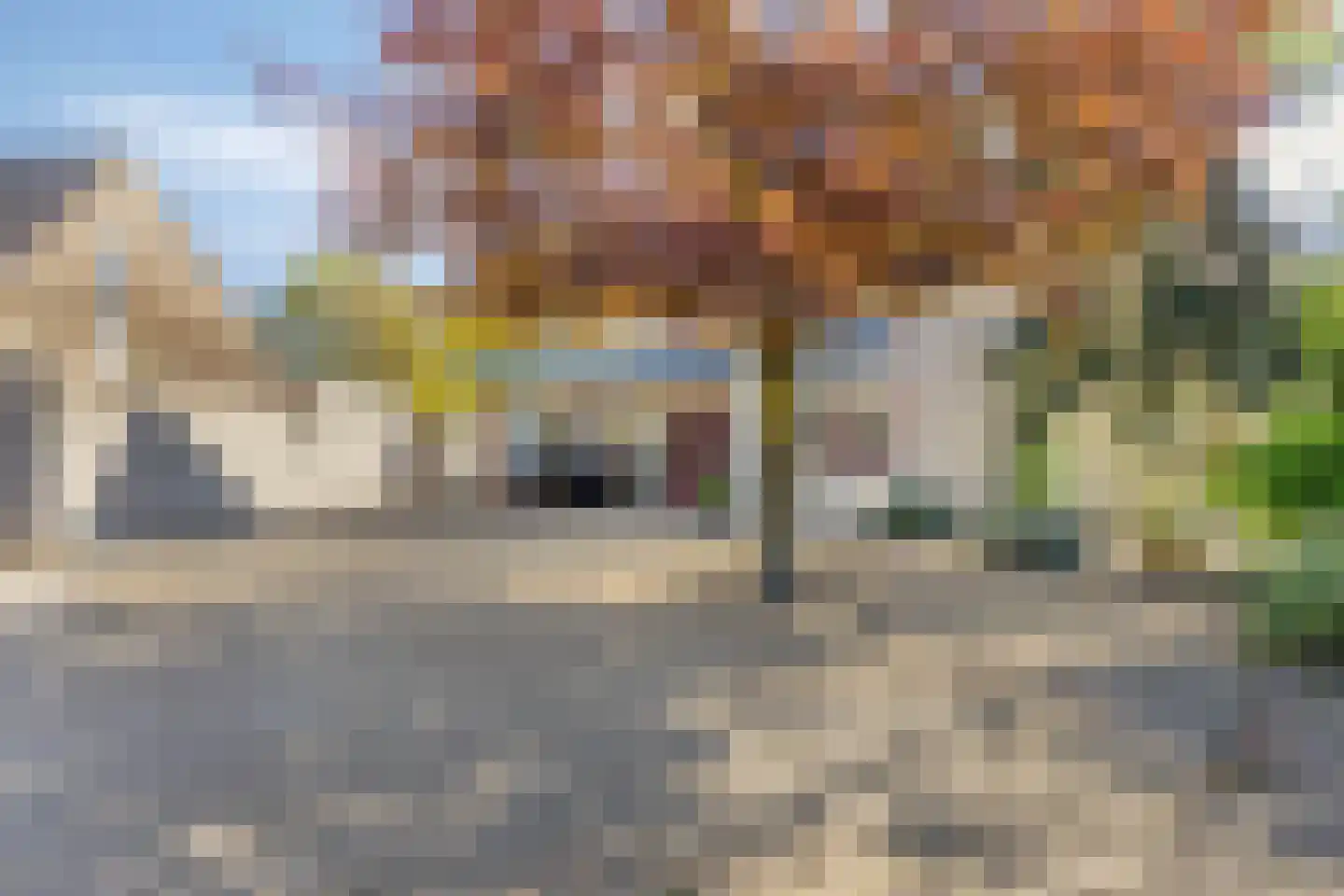 De Boekweit 31 Heesch thumbnail 106