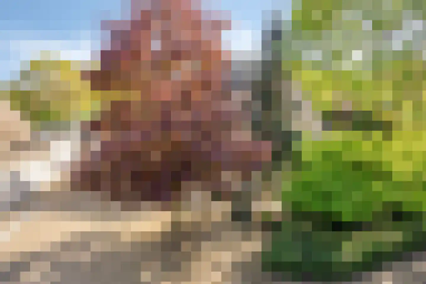 De Boekweit 31 Heesch thumbnail 107