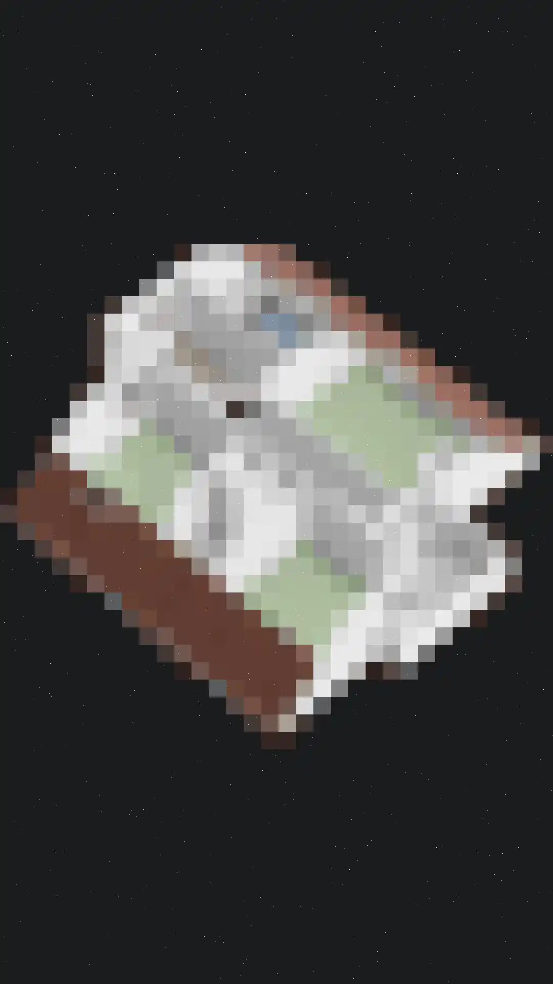 De Boekweit 31 Heesch thumbnail 113
