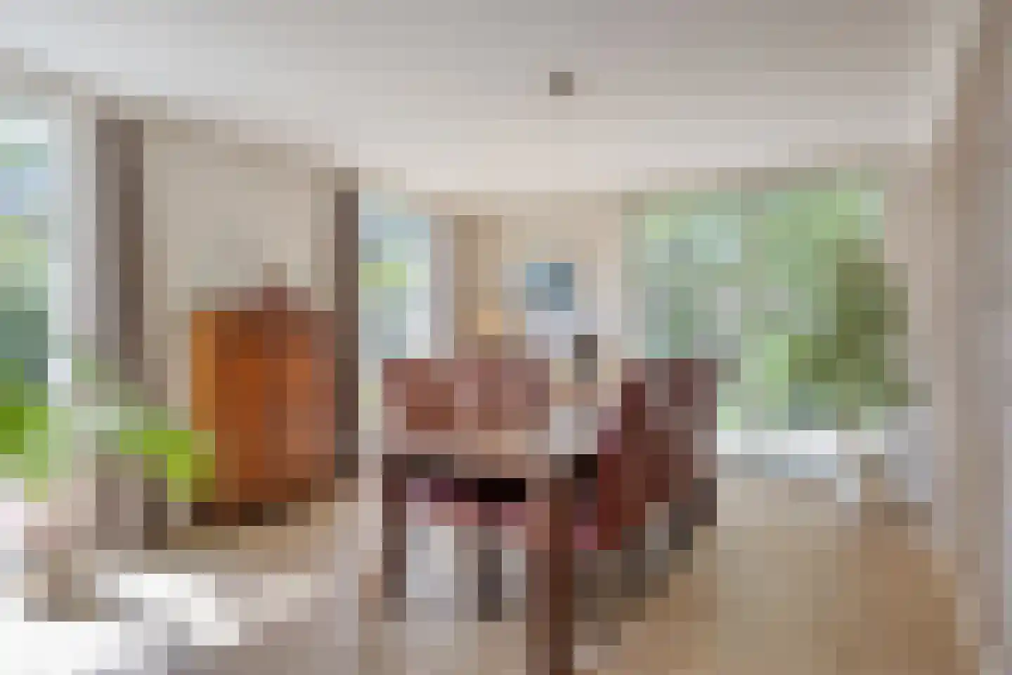 De Boekweit 31 Heesch thumbnail 22