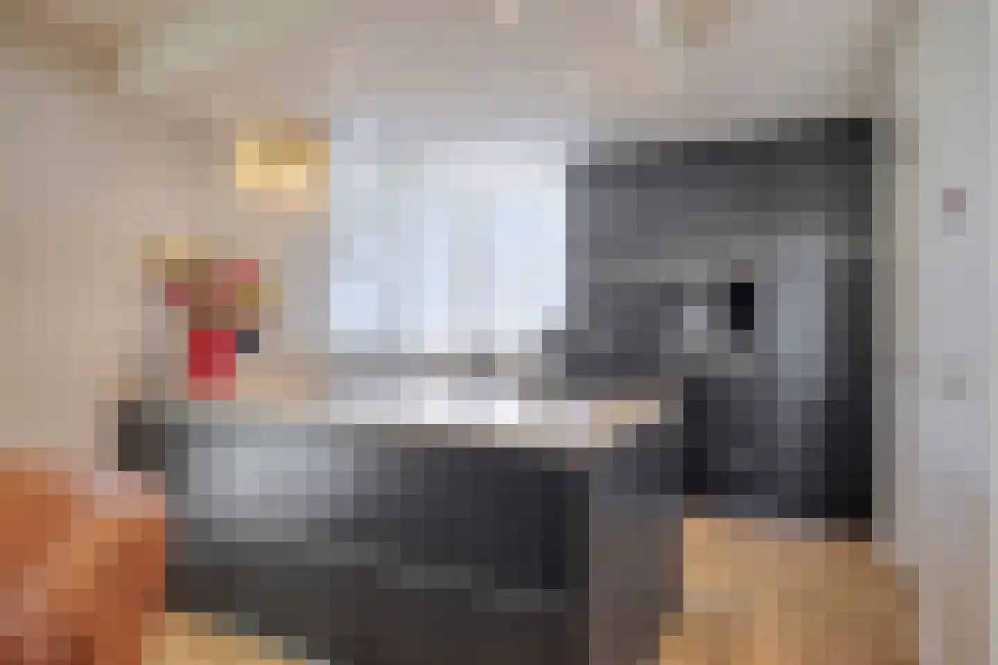 De Boekweit 31 Heesch thumbnail 27