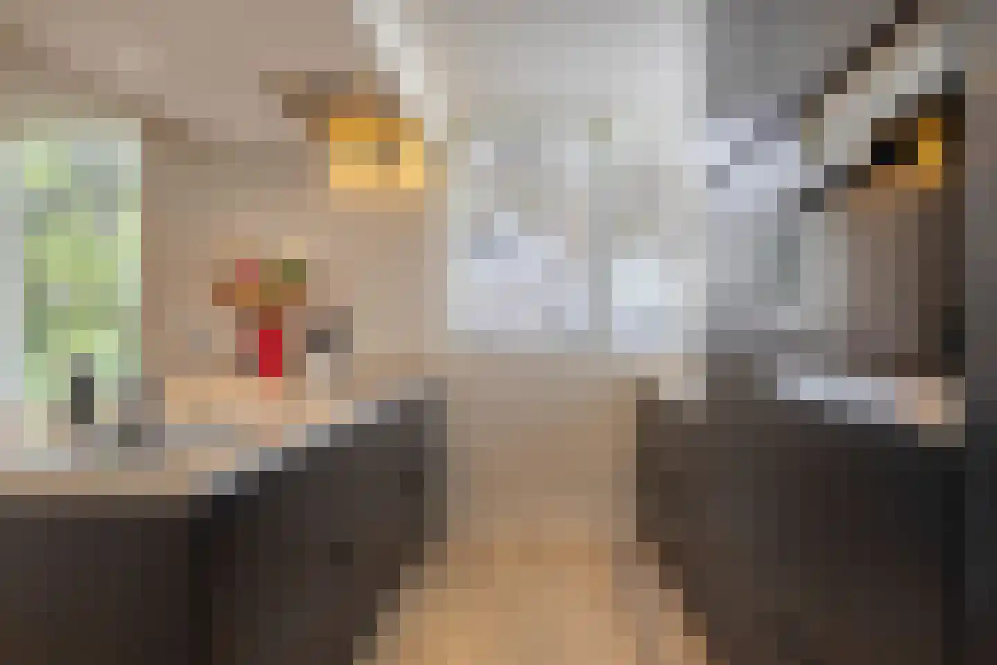De Boekweit 31 Heesch thumbnail 28