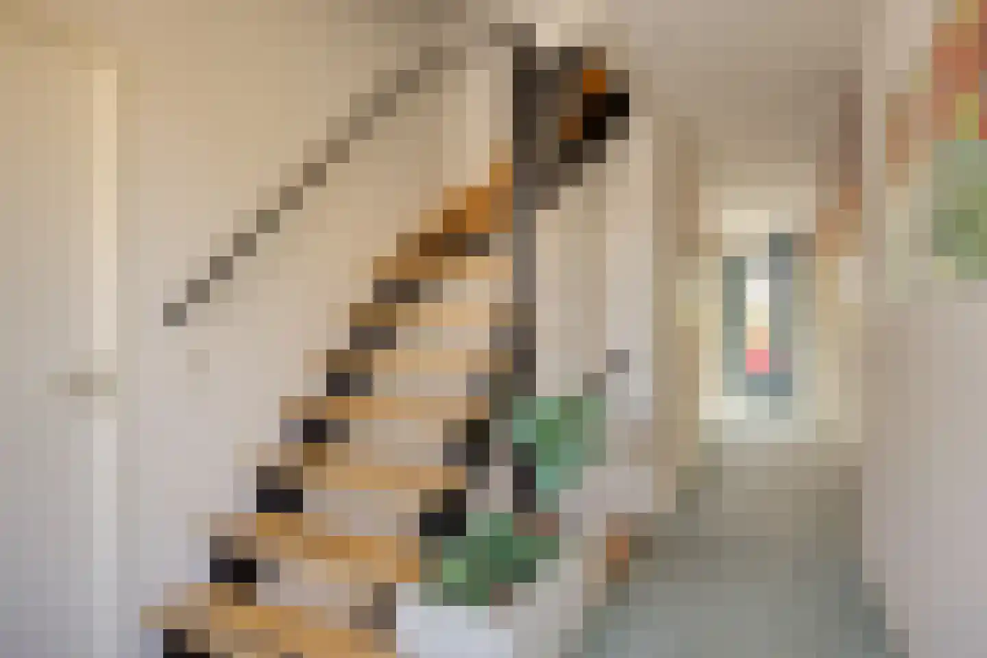 De Boekweit 31 Heesch thumbnail 40
