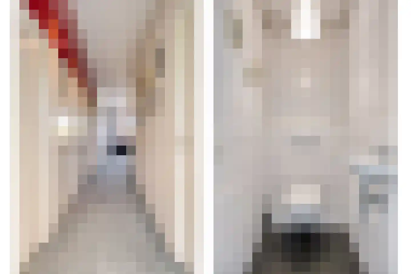 De Boekweit 31 Heesch thumbnail 42