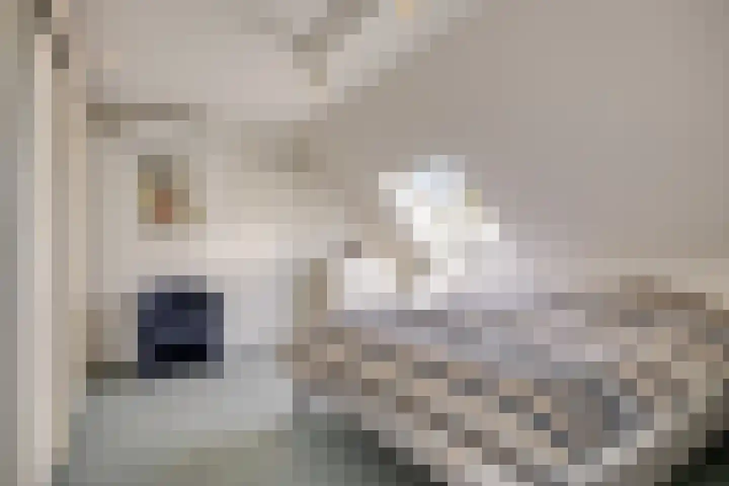 De Boekweit 31 Heesch thumbnail 43