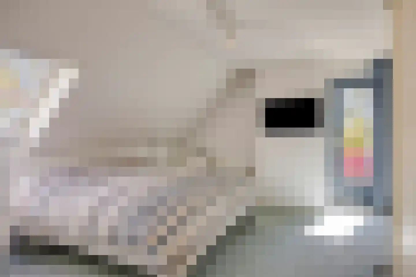 De Boekweit 31 Heesch thumbnail 44