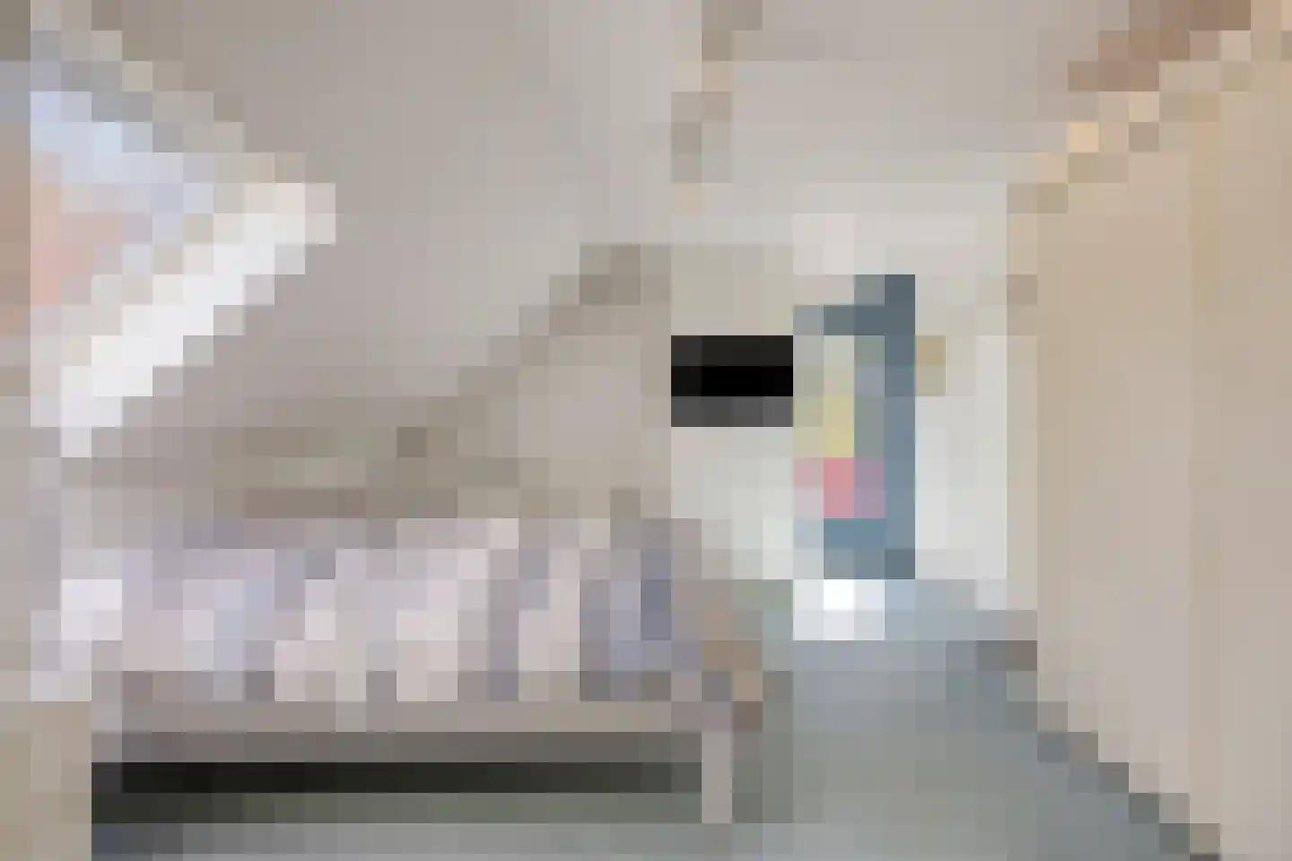 De Boekweit 31 Heesch thumbnail 45