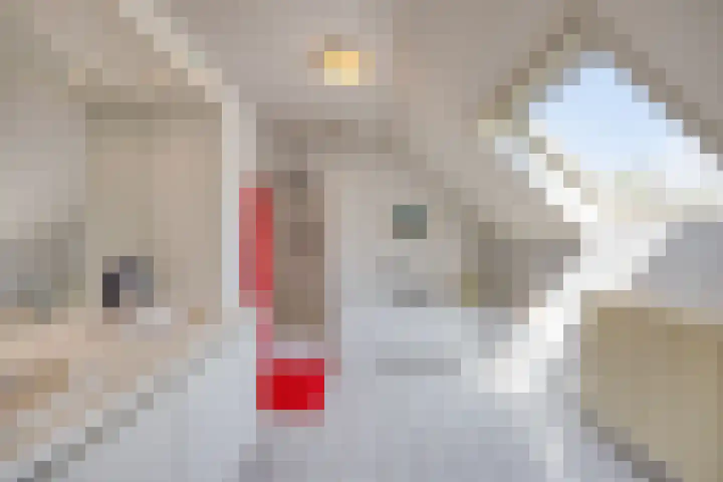 De Boekweit 31 Heesch thumbnail 46