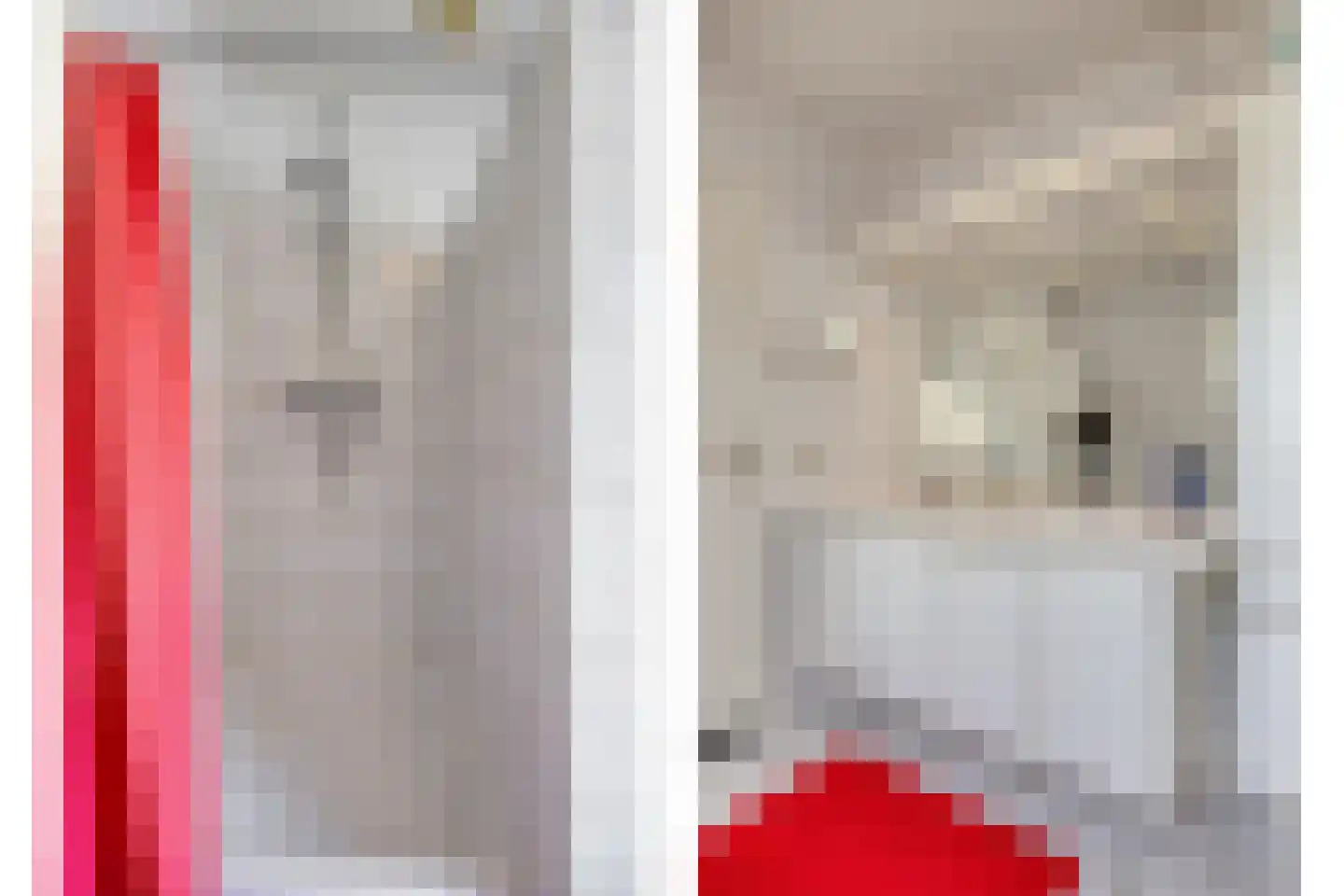 De Boekweit 31 Heesch thumbnail 47