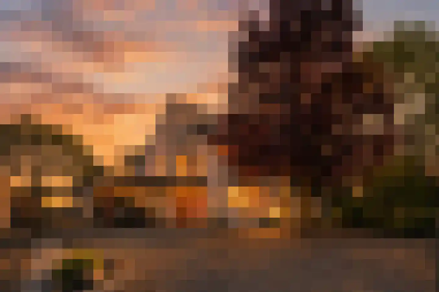 De Boekweit 31 Heesch thumbnail 5