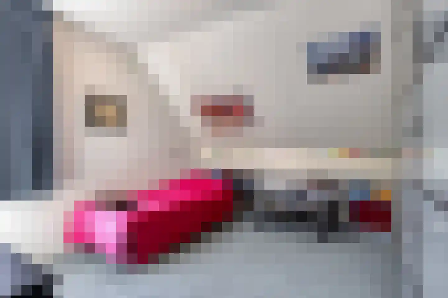 De Boekweit 31 Heesch thumbnail 51