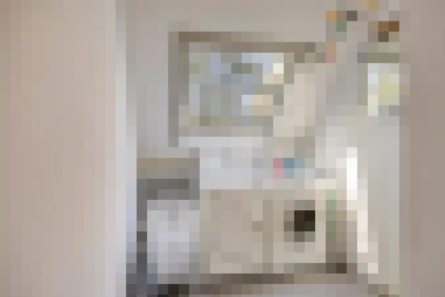 De Boekweit 31 Heesch thumbnail 55