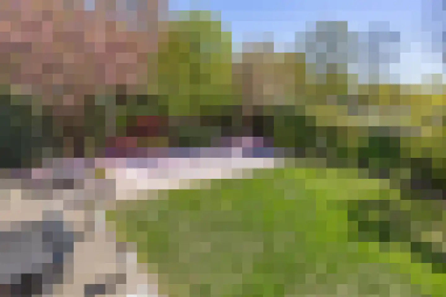 De Boekweit 31 Heesch thumbnail 58