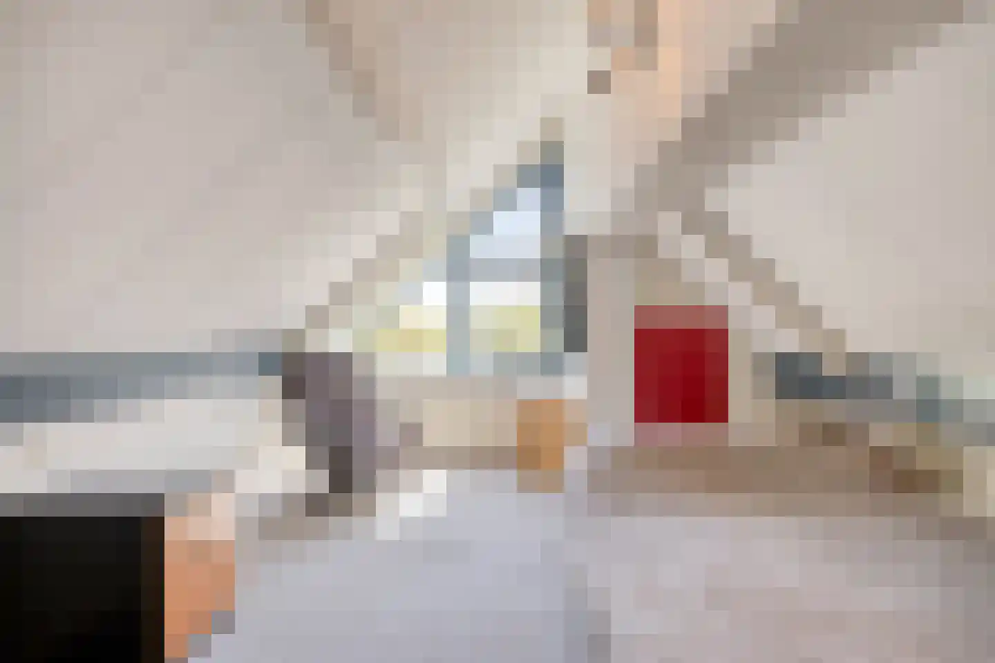De Boekweit 31 Heesch thumbnail 61
