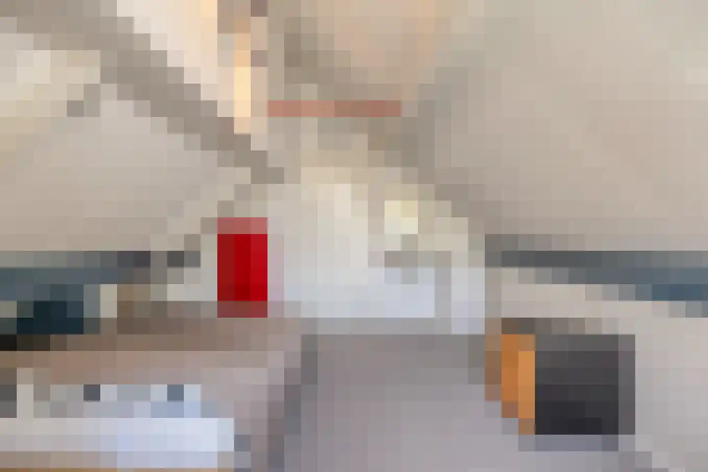 De Boekweit 31 Heesch thumbnail 62