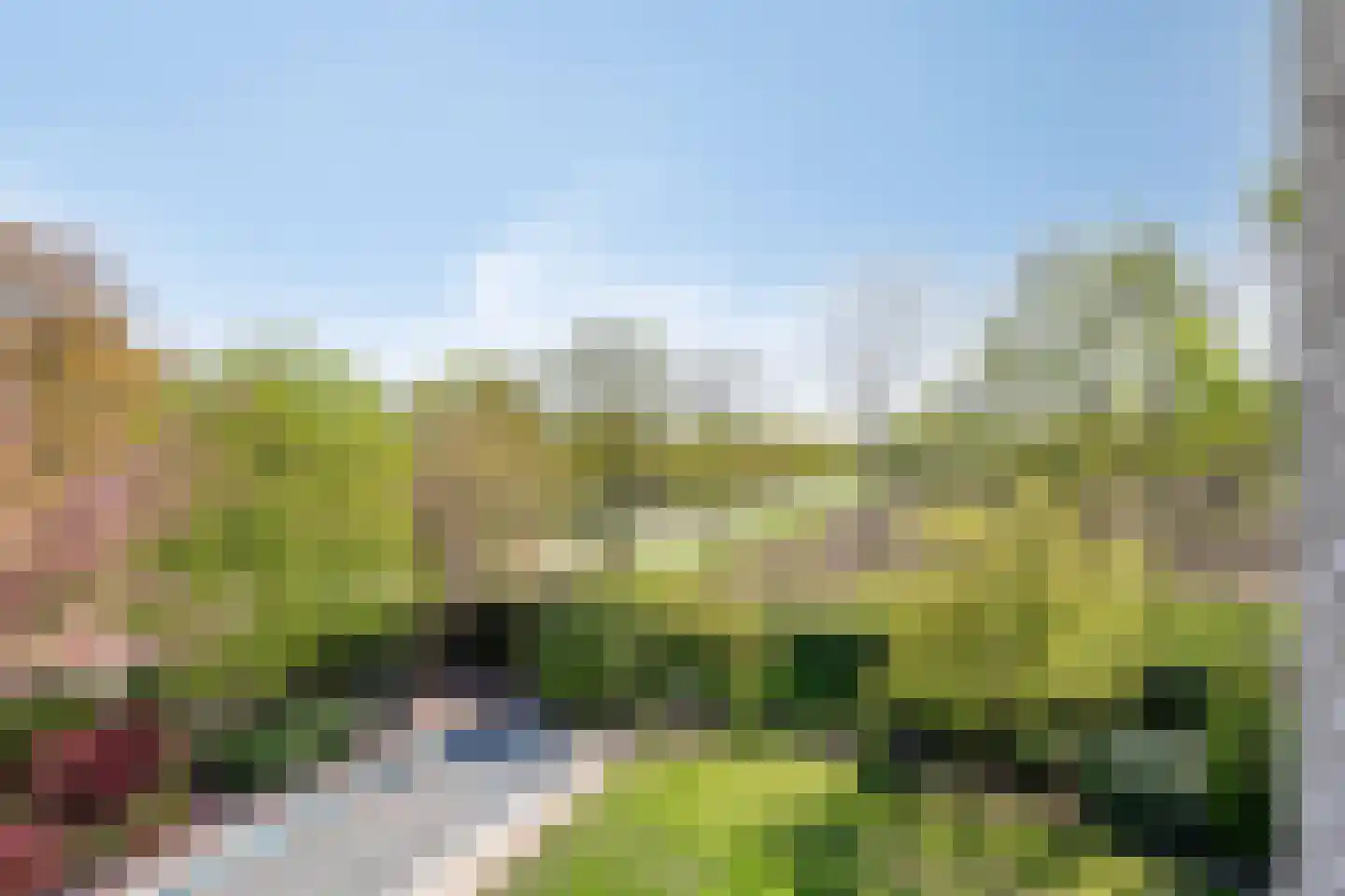 De Boekweit 31 Heesch thumbnail 63