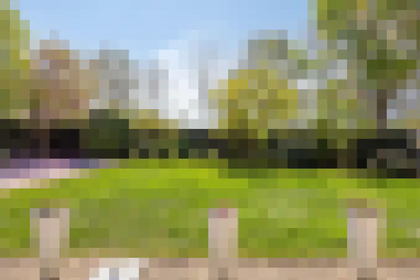 De Boekweit 31 Heesch thumbnail 65