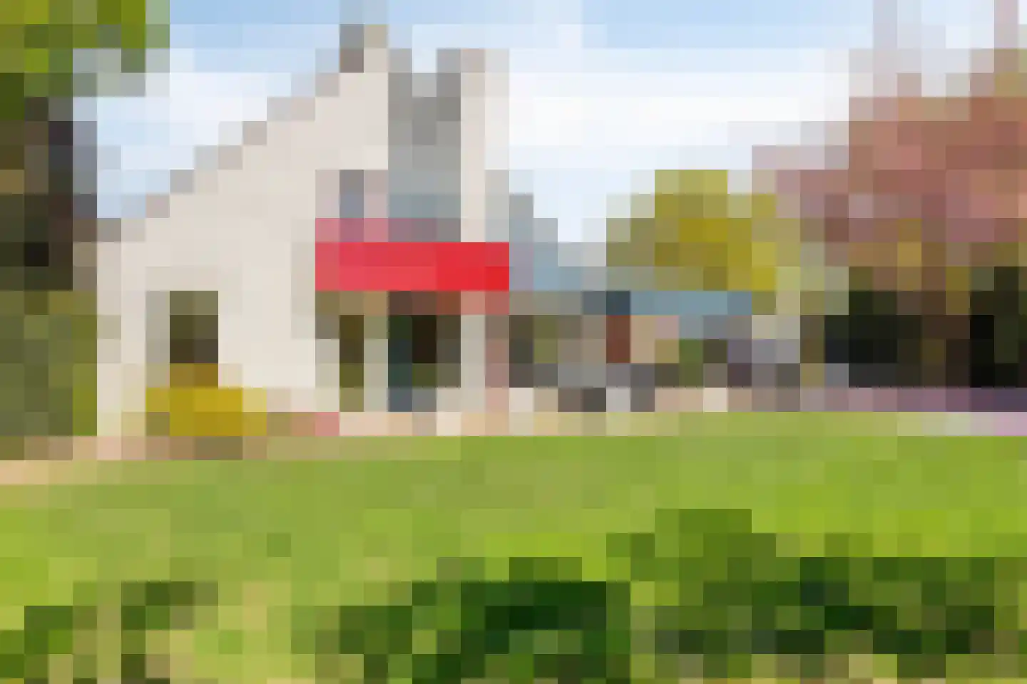 De Boekweit 31 Heesch thumbnail 66