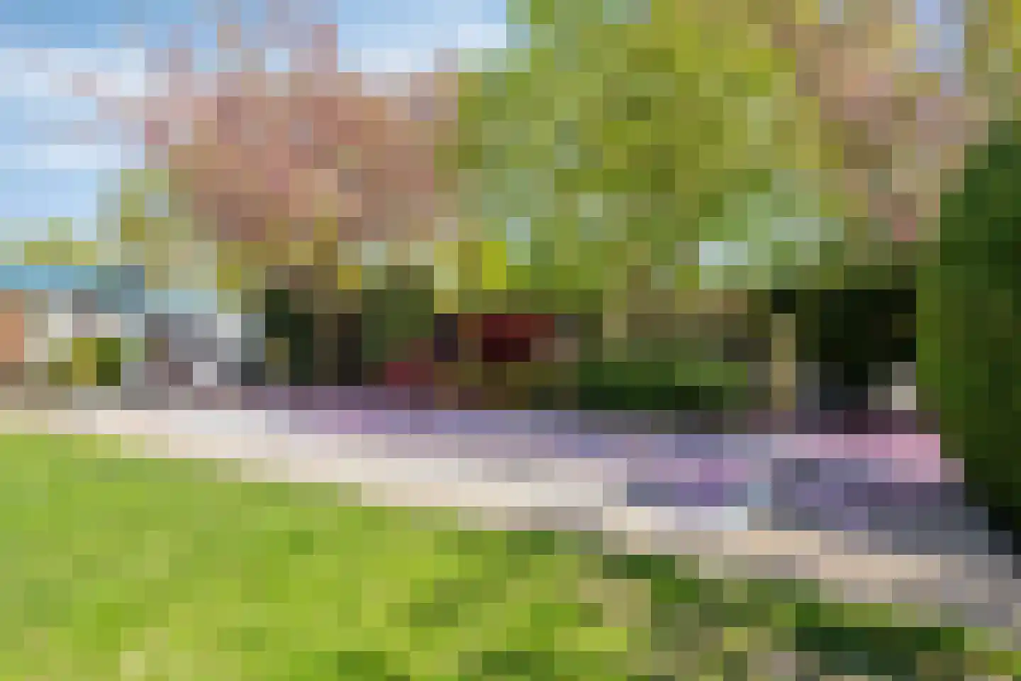 De Boekweit 31 Heesch thumbnail 69