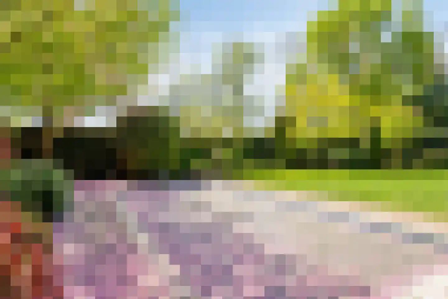 De Boekweit 31 Heesch thumbnail 71