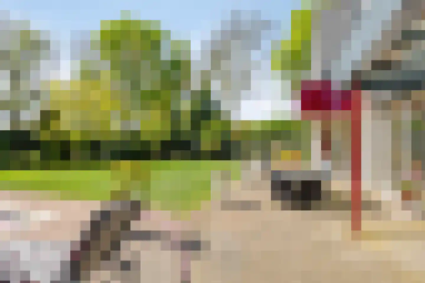 De Boekweit 31 Heesch thumbnail 72
