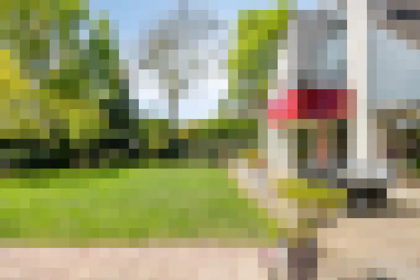 De Boekweit 31 Heesch thumbnail 73