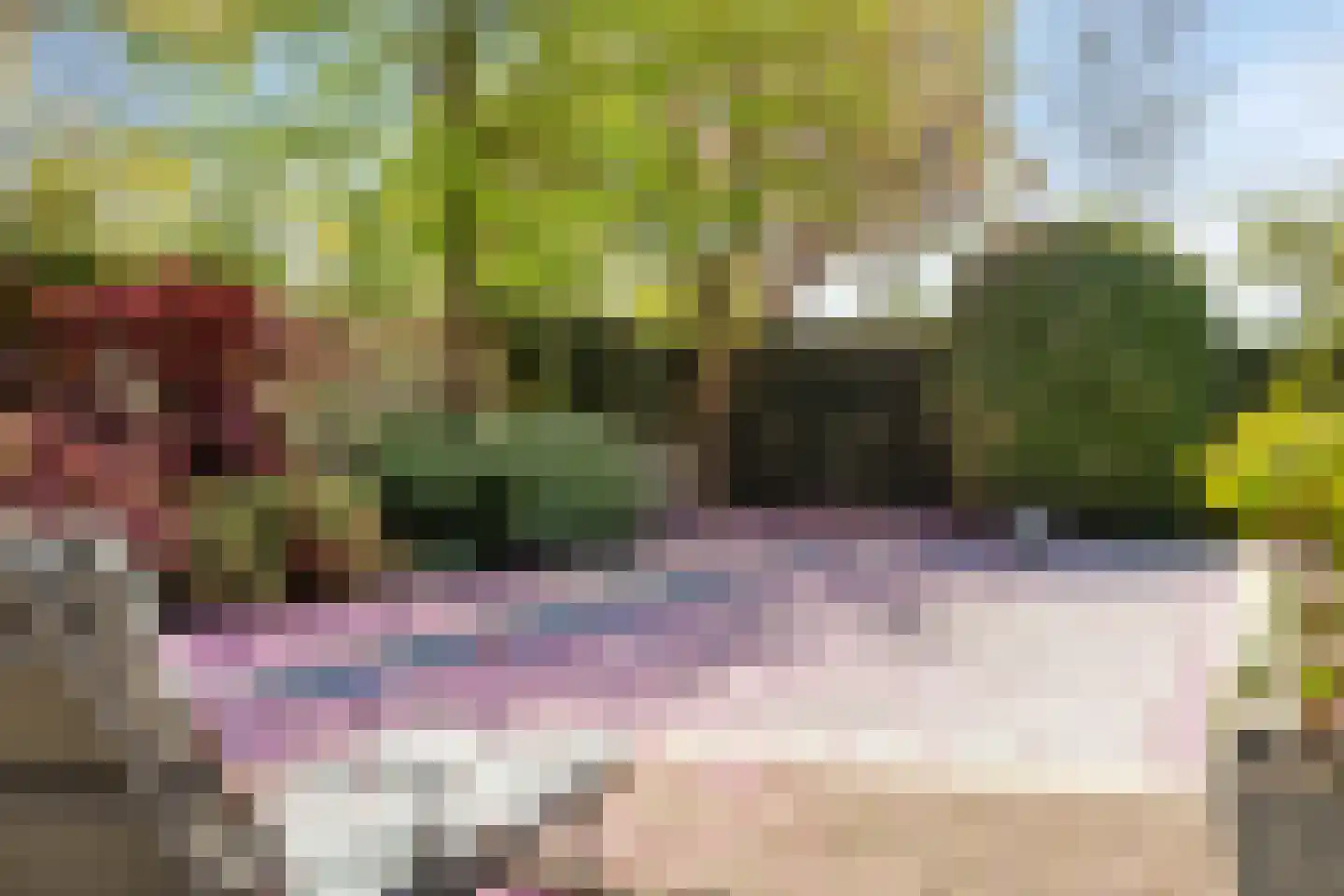 De Boekweit 31 Heesch thumbnail 75