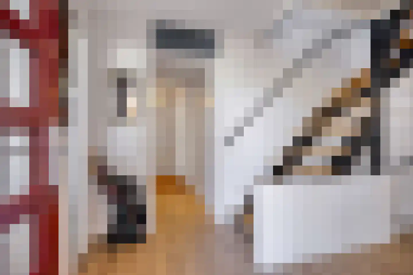 De Boekweit 31 Heesch thumbnail 8