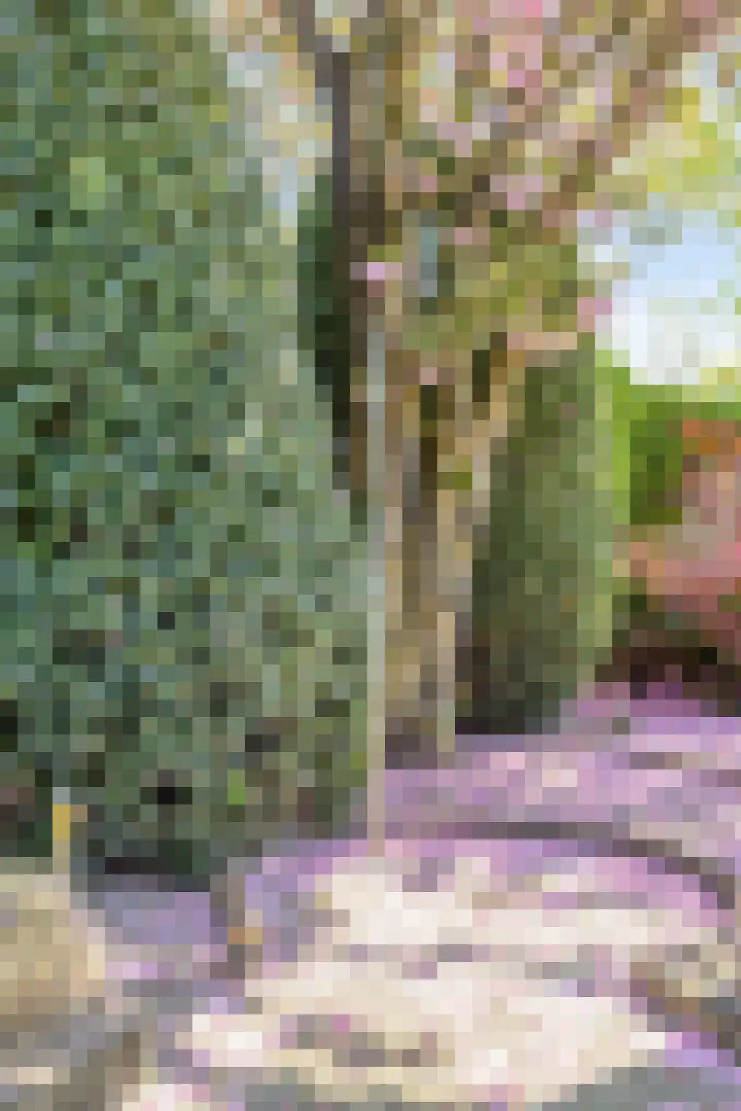 De Boekweit 31 Heesch thumbnail 81