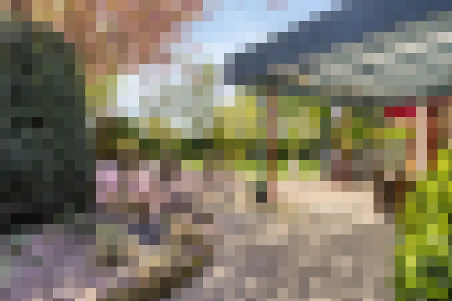 De Boekweit 31 Heesch thumbnail 83
