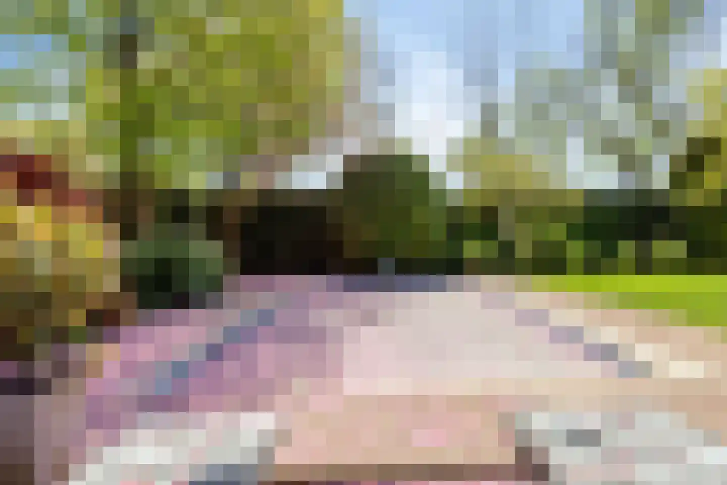 De Boekweit 31 Heesch thumbnail 84