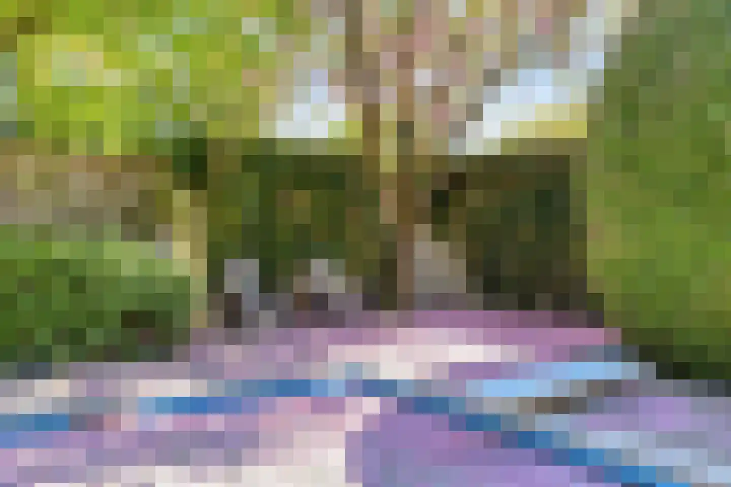 De Boekweit 31 Heesch thumbnail 85