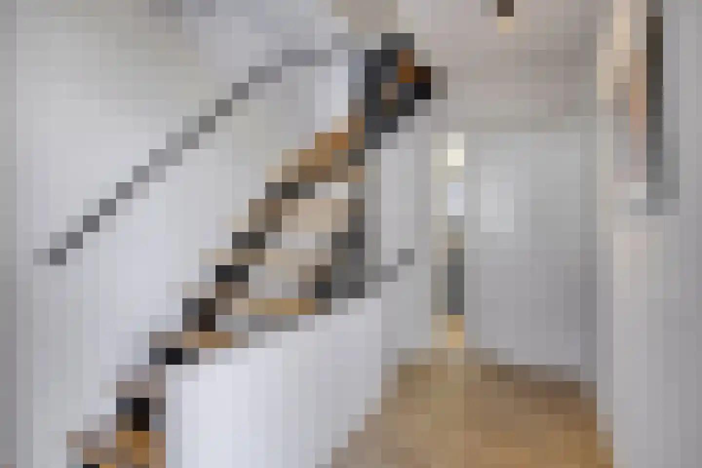 De Boekweit 31 Heesch thumbnail 9