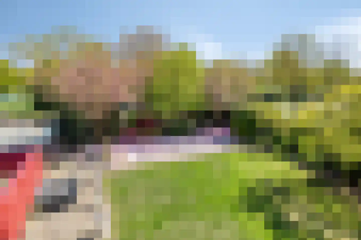 De Boekweit 31 Heesch thumbnail 90