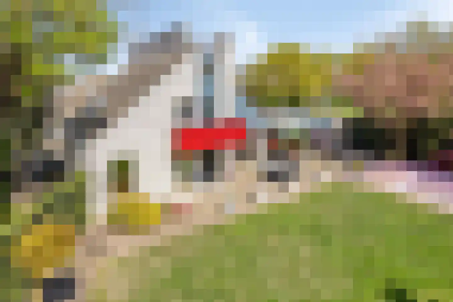 De Boekweit 31 Heesch thumbnail 91