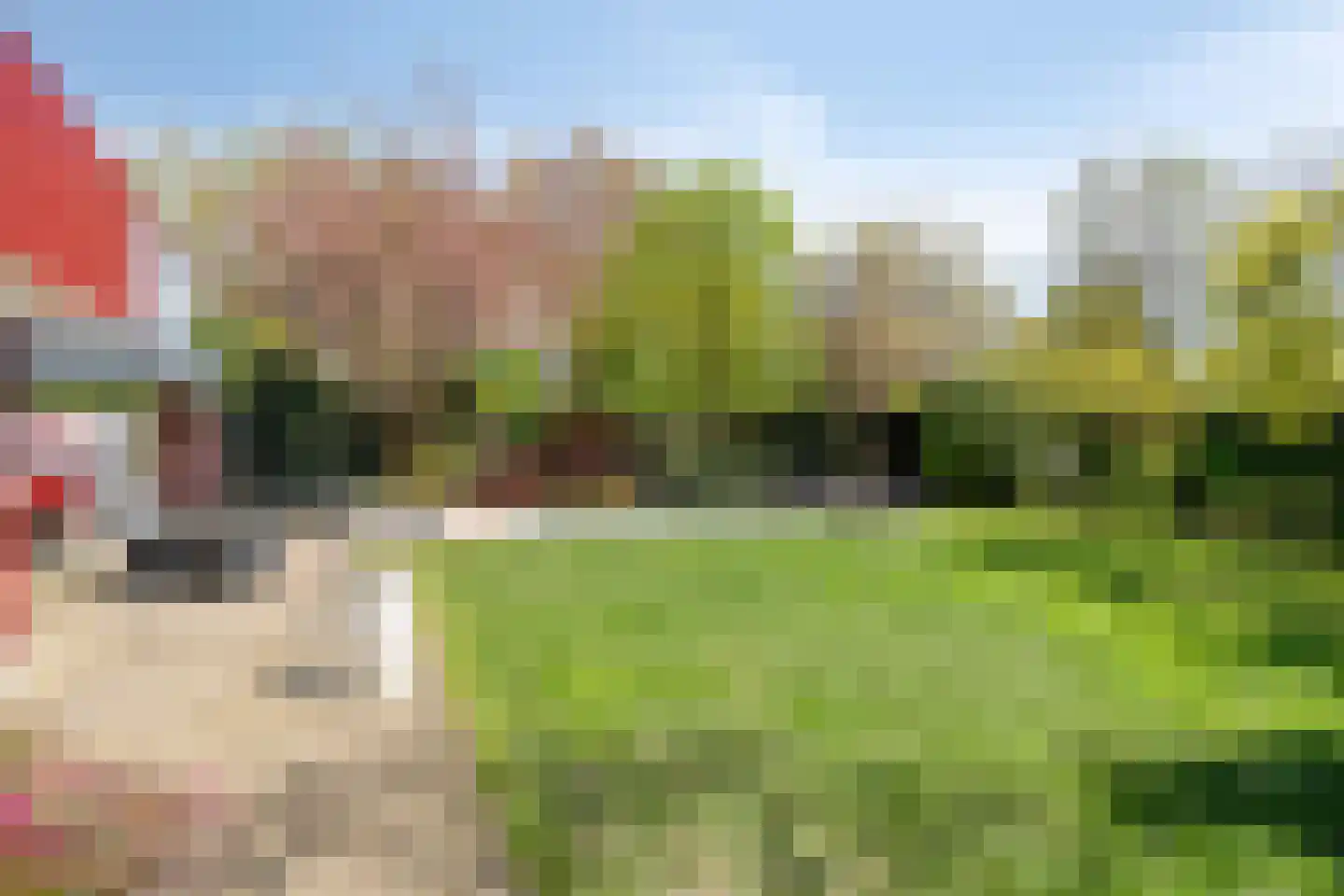 De Boekweit 31 Heesch thumbnail 94