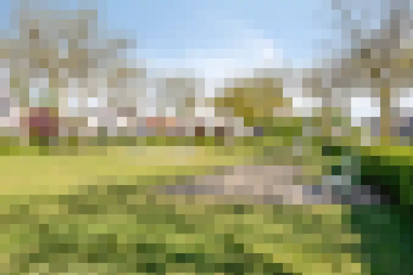 De Boekweit 31 Heesch thumbnail 97
