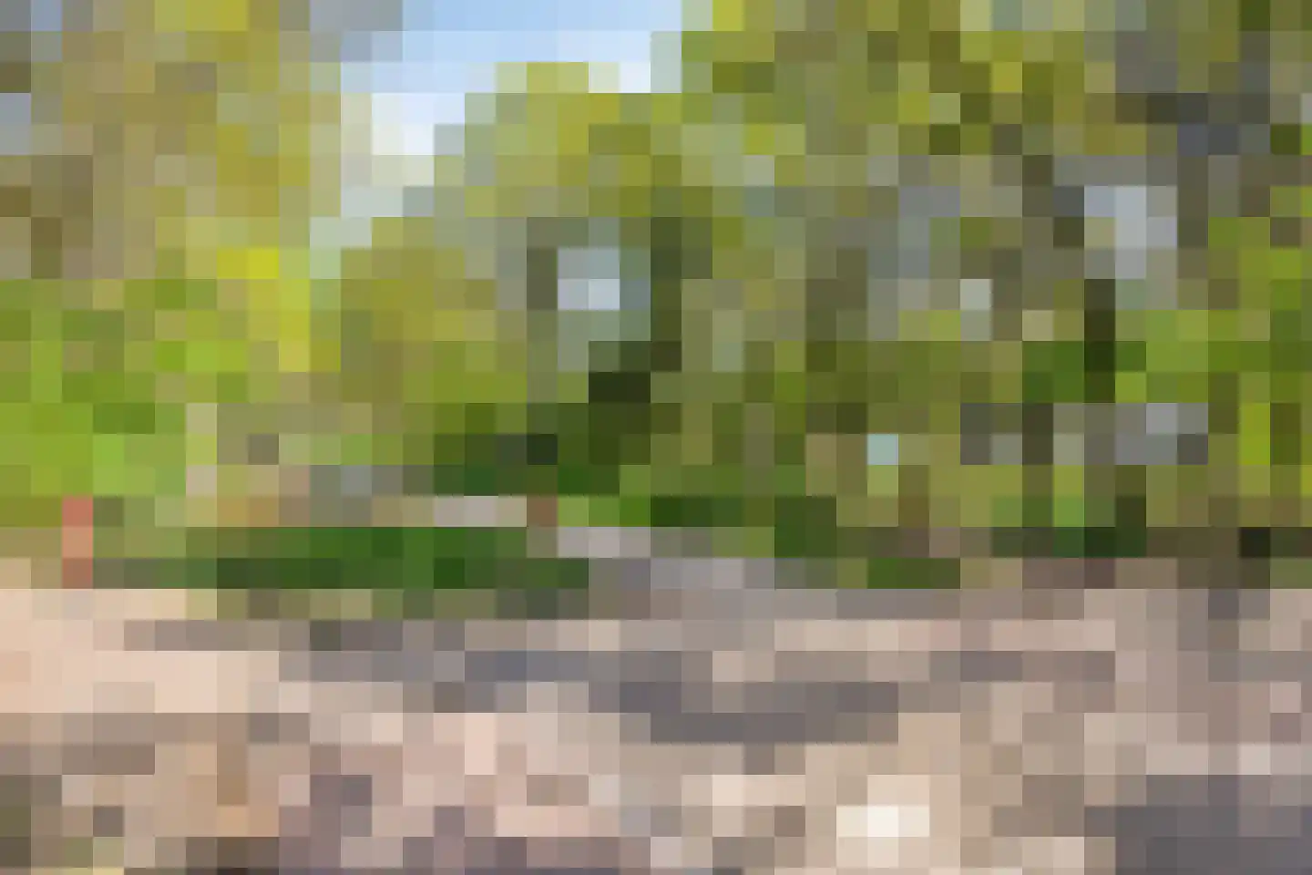 De Boekweit 31 Heesch thumbnail 99