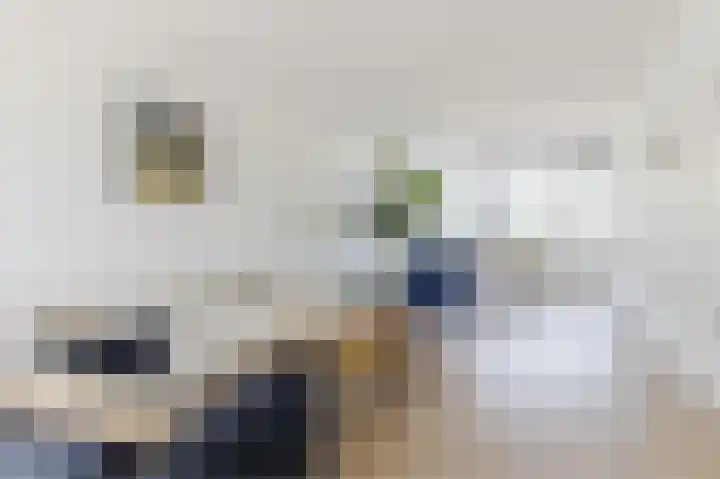 De Boelelaan 225 Amsterdam thumbnail 14