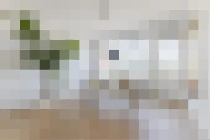 De Boelelaan 225 Amsterdam thumbnail 15