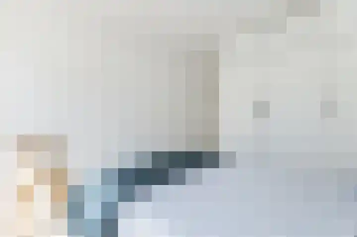 De Boelelaan 225 Amsterdam thumbnail 24