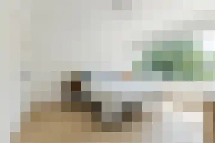 De Boelelaan 225 Amsterdam thumbnail 28