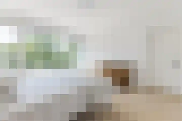 De Boelelaan 225 Amsterdam thumbnail 29