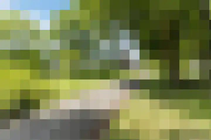 De Boelelaan 225 Amsterdam thumbnail 51