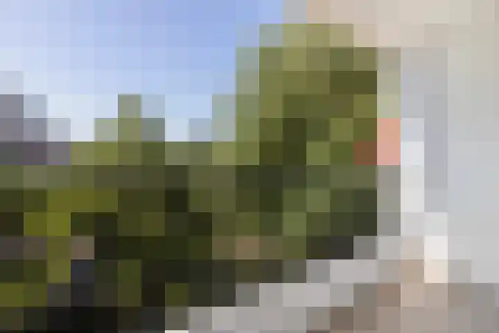 De Boelelaan 229 Amsterdam thumbnail 18