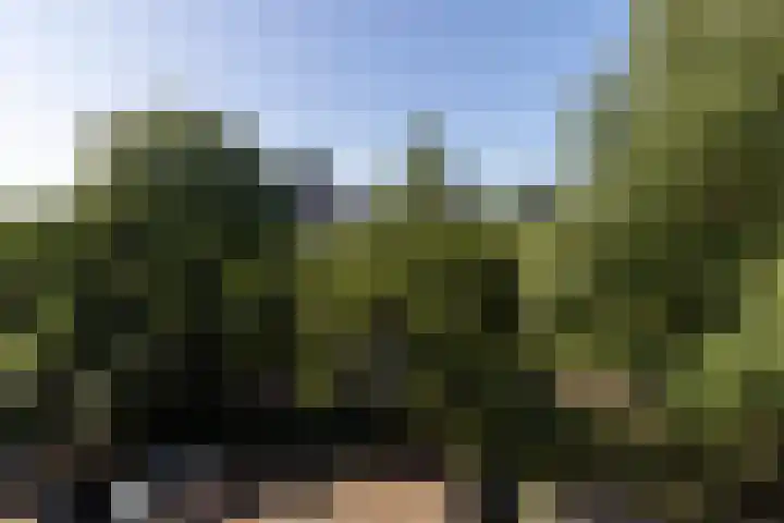 De Boelelaan 229 Amsterdam thumbnail 19